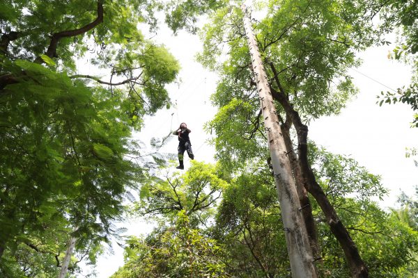 Teambuilding | 團隊培訓 | 企業團隊培訓規劃 | 休閒教育